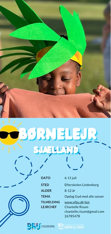 bl-1
